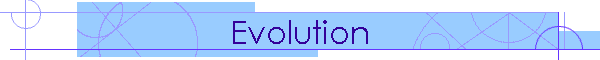 Evolution